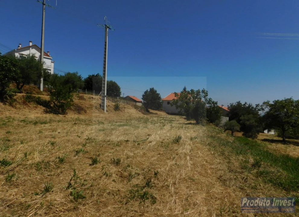 Terreno para Venda em Alpedrinha Foto 6