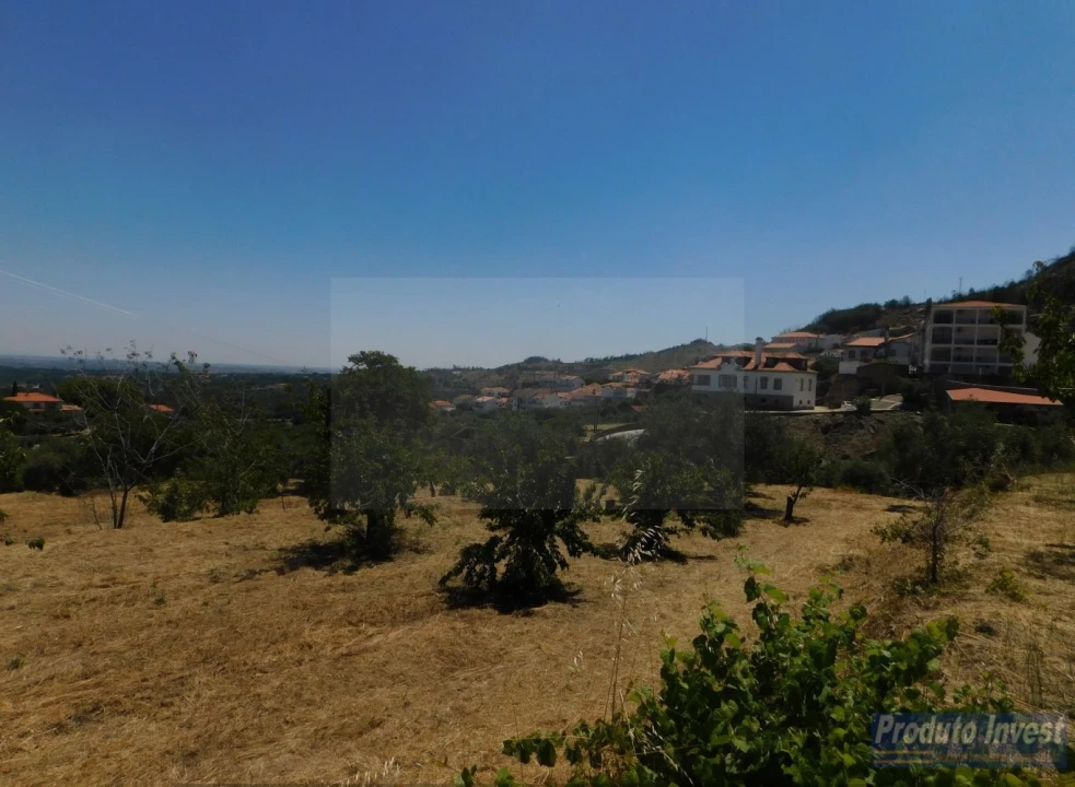 Terreno para Venda em Alpedrinha Foto 3