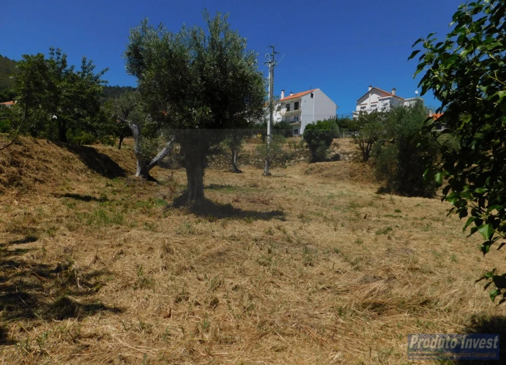 Terreno para Venda em Alpedrinha Foto 6