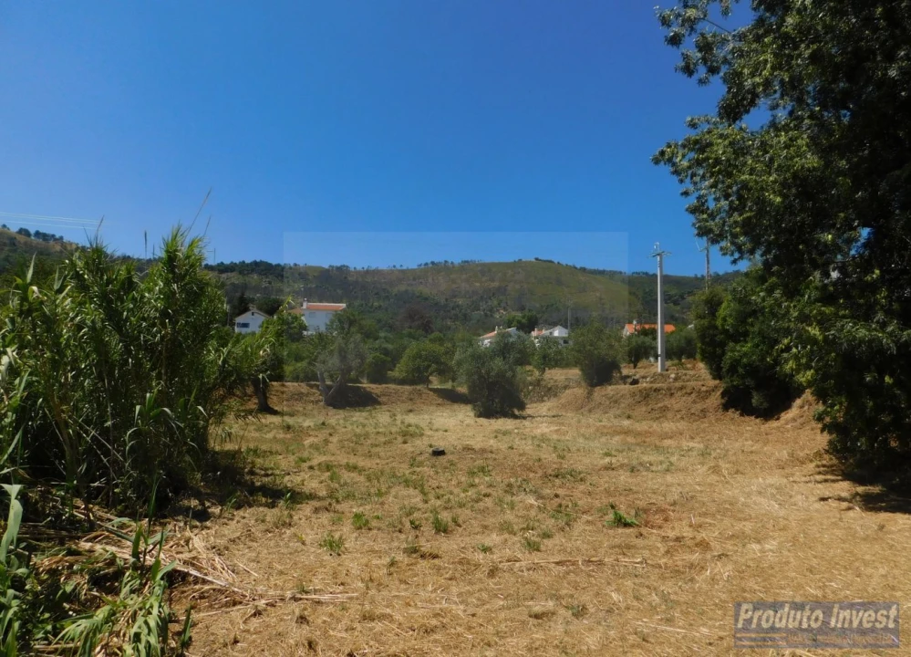 Terreno para Venda em Alpedrinha Foto 7
