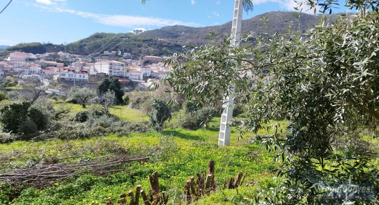 Terreno para Venda em Alpedrinha Foto 12