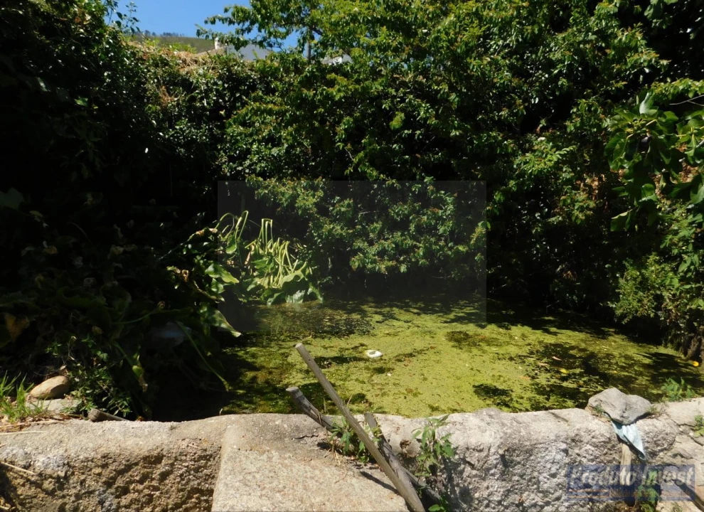 Terreno para Venda em Alpedrinha Foto 5