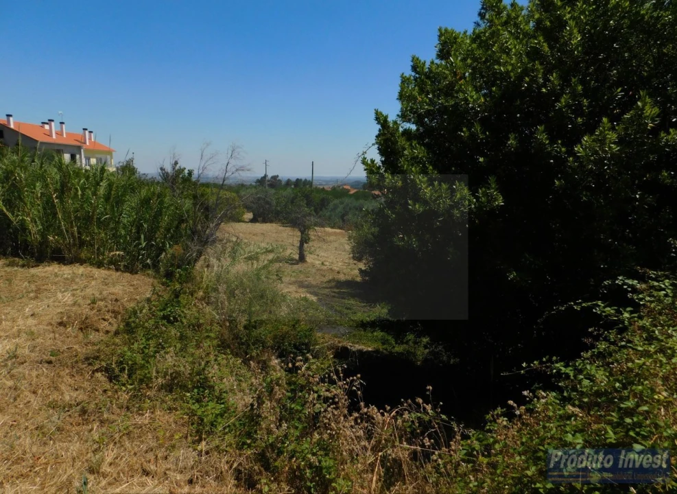 Terreno para Venda em Alpedrinha Foto 8