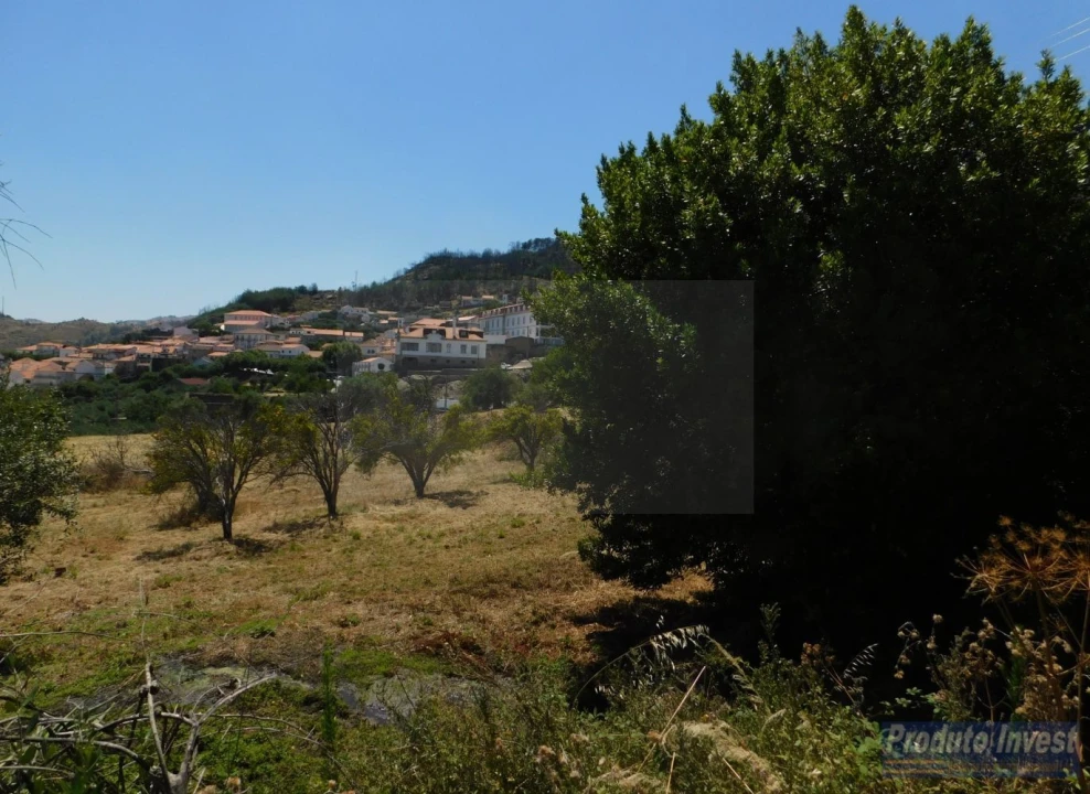 Terreno para Venda em Alpedrinha Foto 10