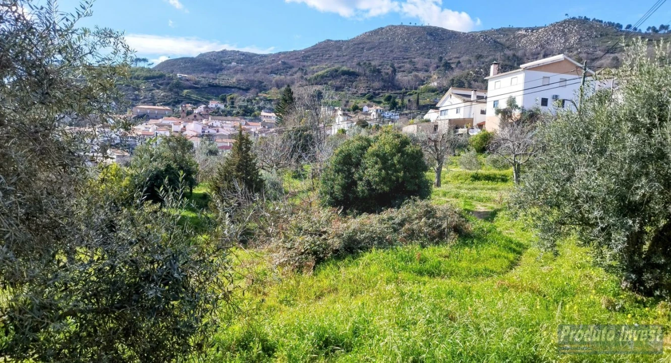 Terreno para Venda em Alpedrinha Foto 14