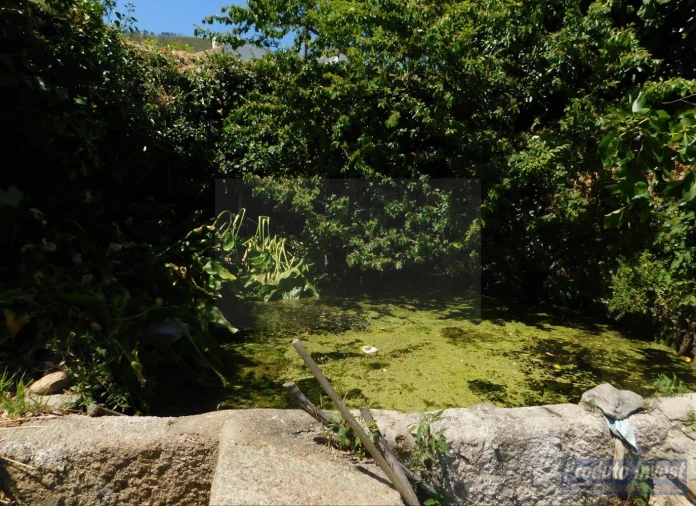 Terreno para Venda em Alpedrinha Foto 5
