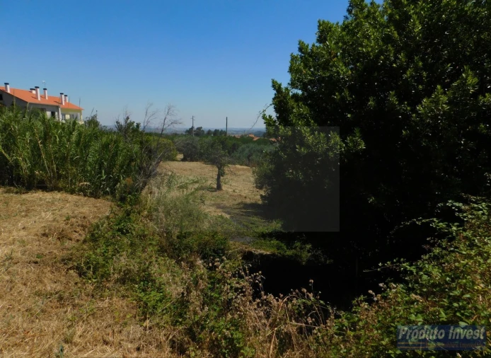 Terreno para Venda em Alpedrinha Foto 8