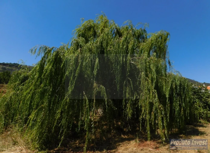 Terreno para Venda em Alpedrinha Foto 11