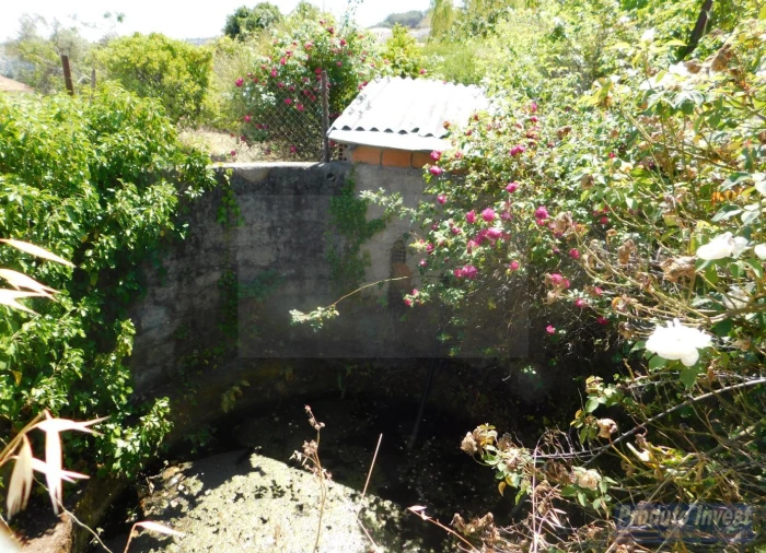 Terreno para Venda em Alpedrinha Foto 4
