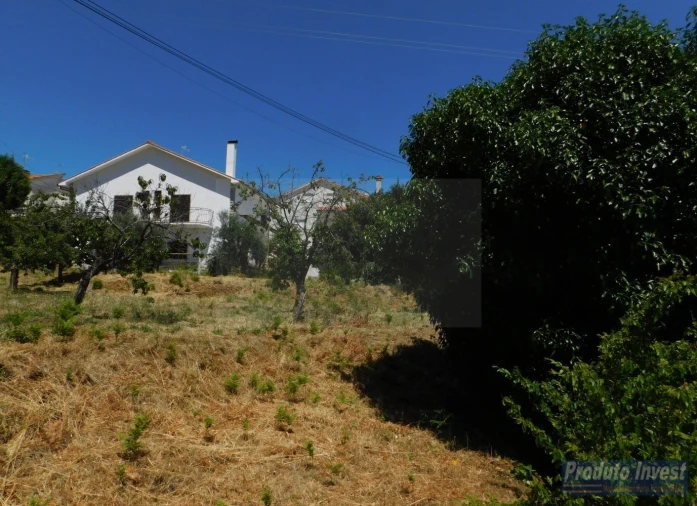 Terreno para Venda em Alpedrinha