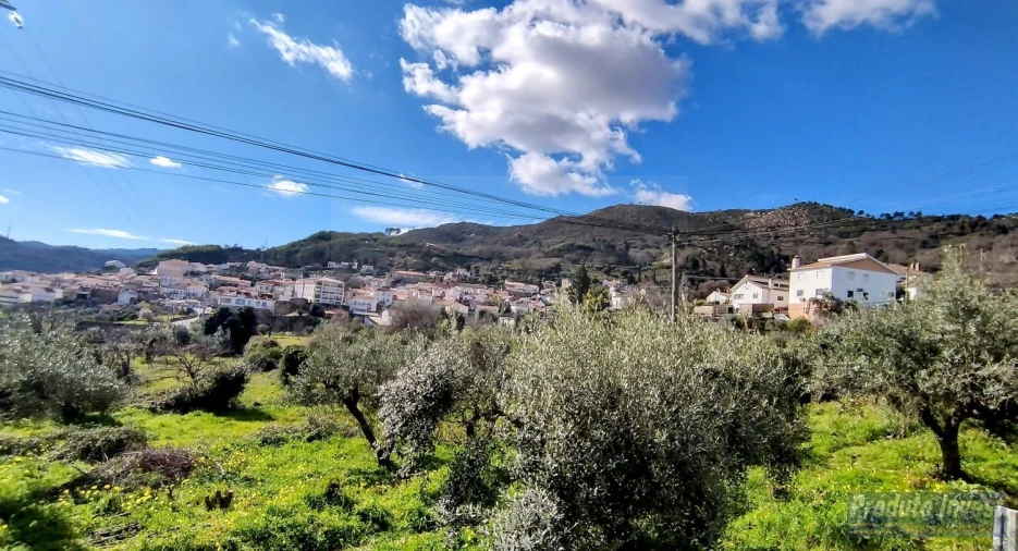 Terreno para Venda em Alpedrinha Foto 17