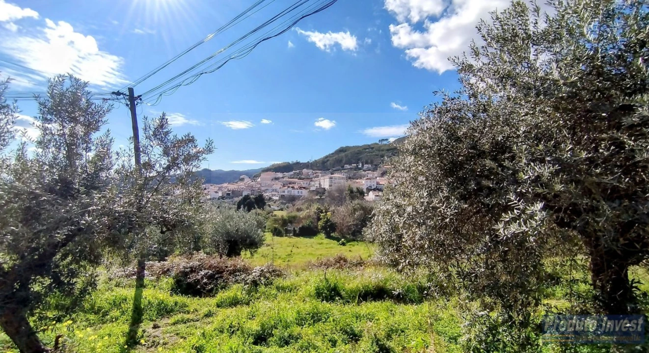 Terreno para Venda em Alpedrinha Foto 16