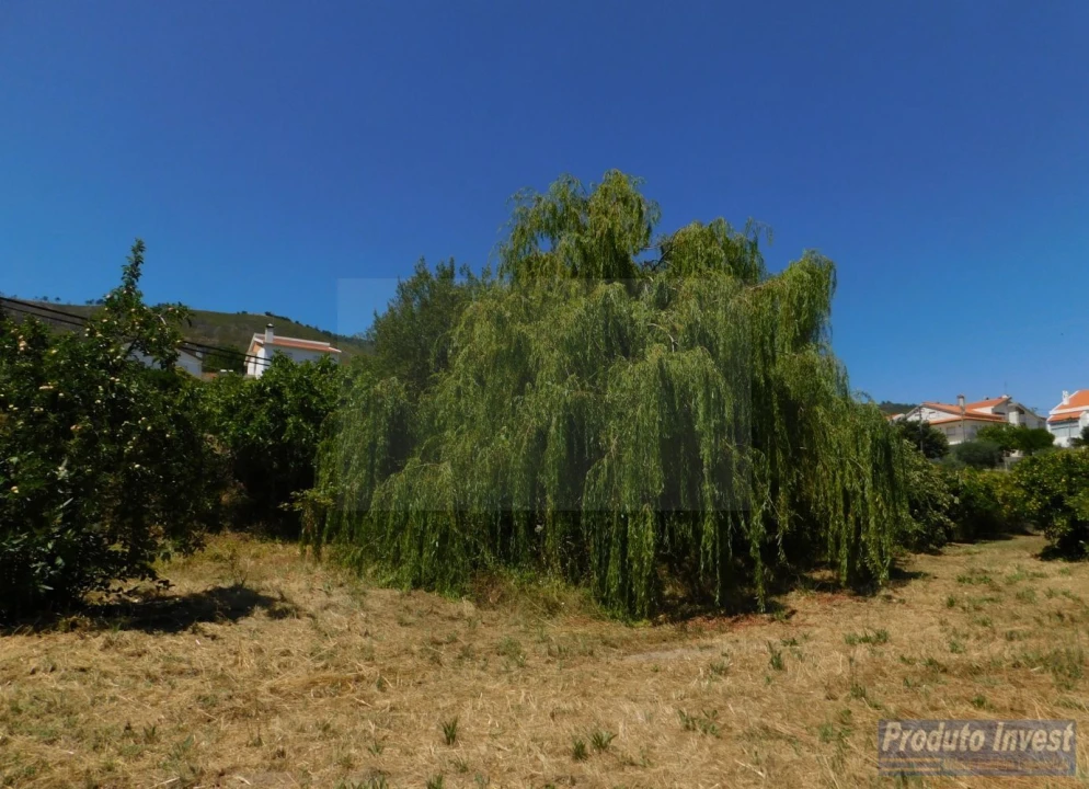 Terreno para Venda em Alpedrinha Foto 2