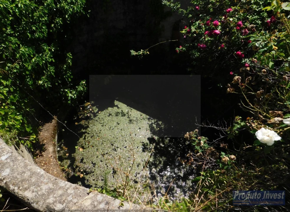 Terreno para Venda em Alpedrinha Foto 12