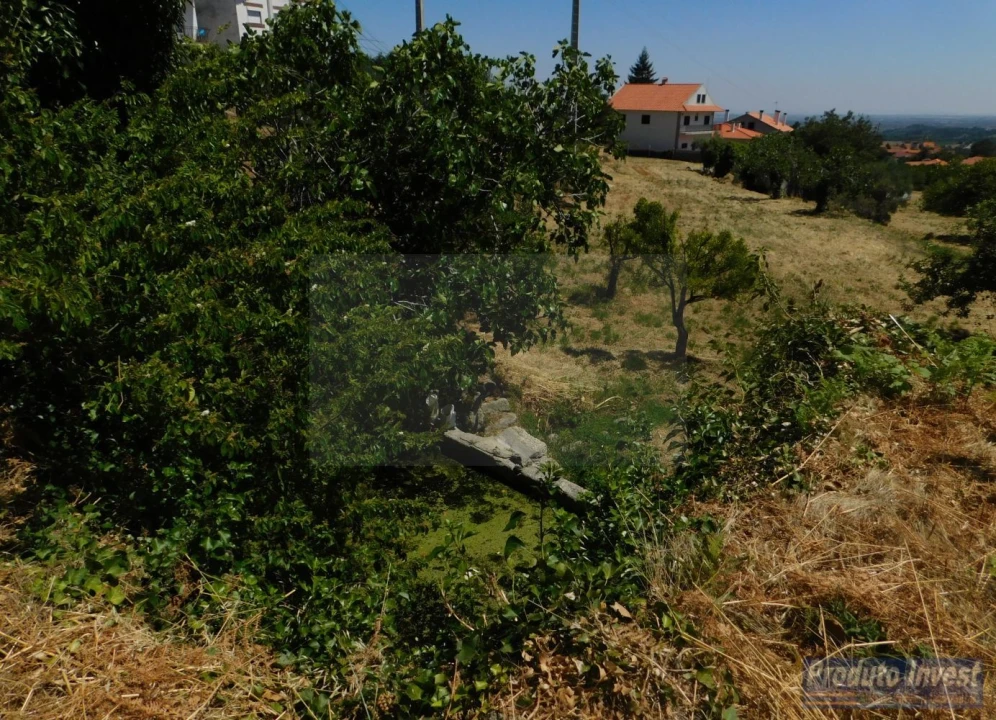 Terreno para Venda em Alpedrinha Foto 7
