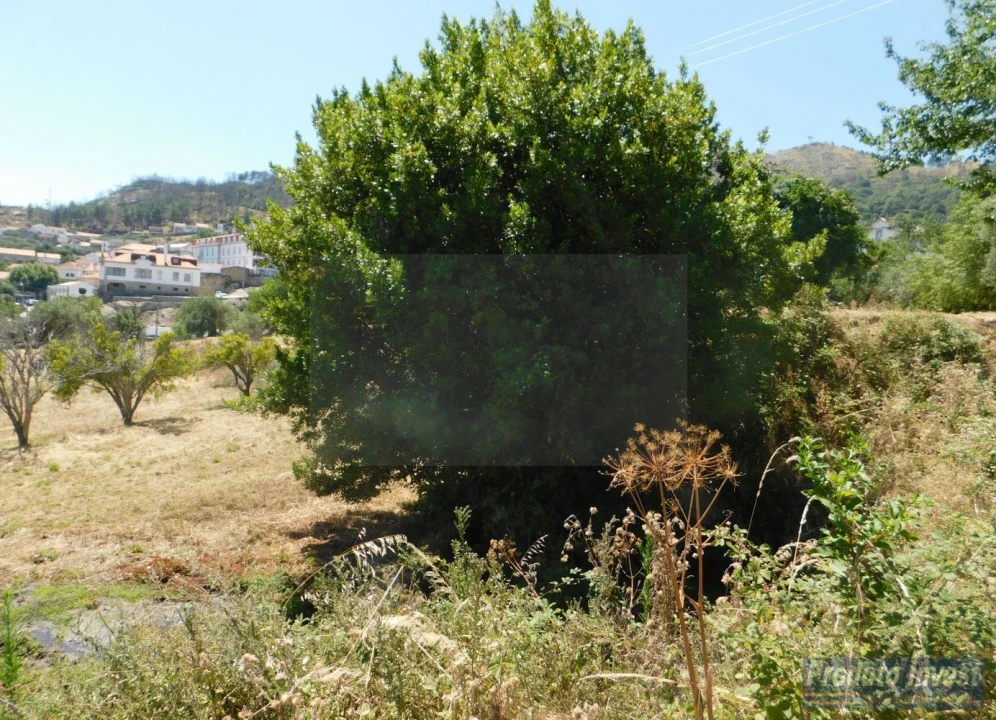 Terreno para Venda em Alpedrinha Foto 9