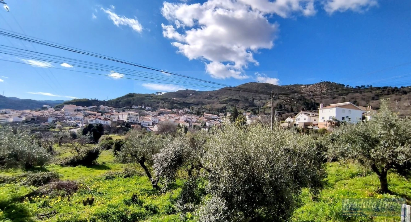 Terreno para Venda em Alpedrinha Foto 17