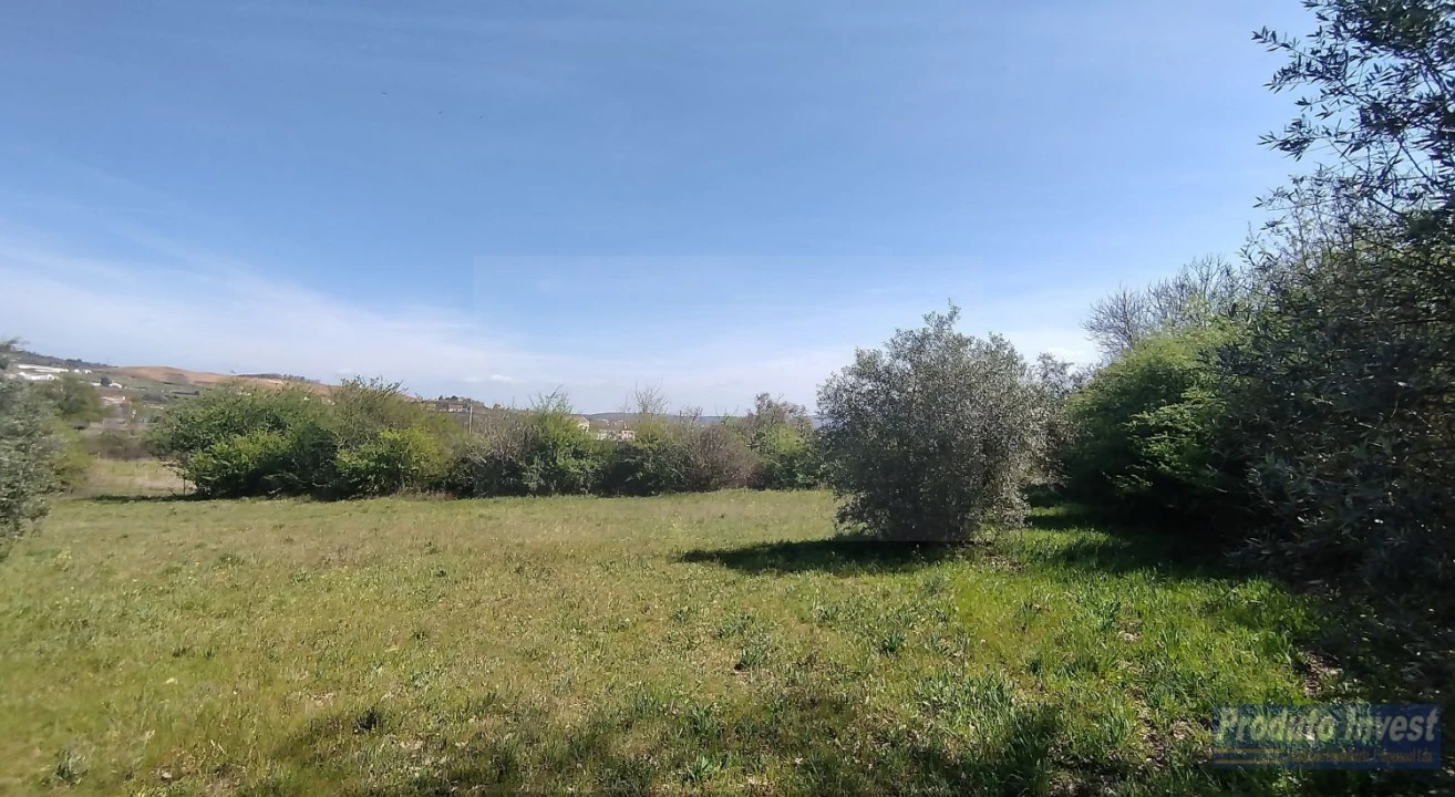 Terreno para Venda em Alcaria Foto 6