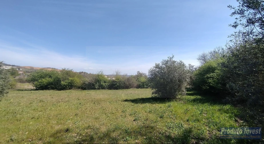 Terreno para Venda em Alcaria Foto 6