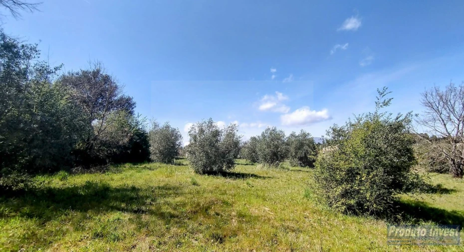 Terreno para Venda em Alcaria Foto 9