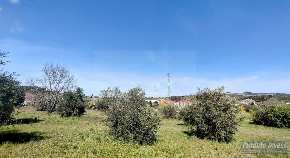 Terreno para Venda em Alcaria Foto 8