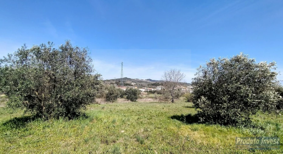 Terreno para Venda em Alcaria Foto 5