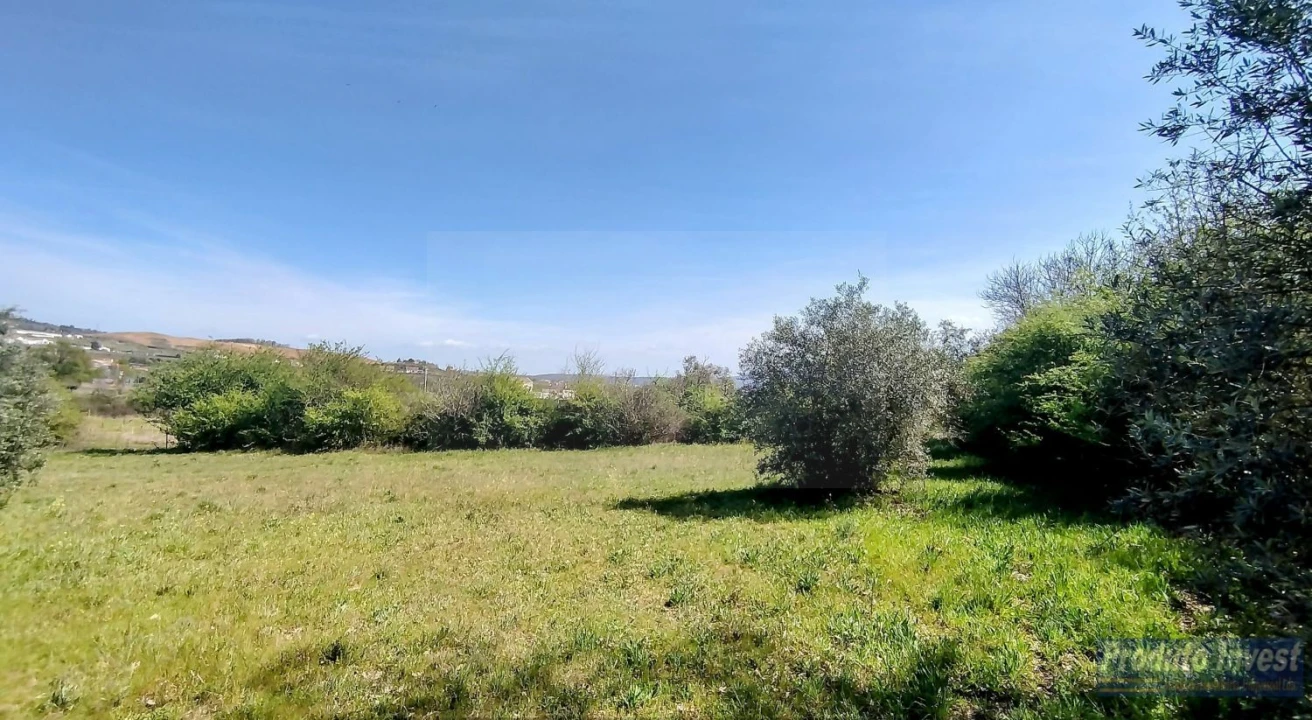 Terreno para Venda em Alcaria Foto 7