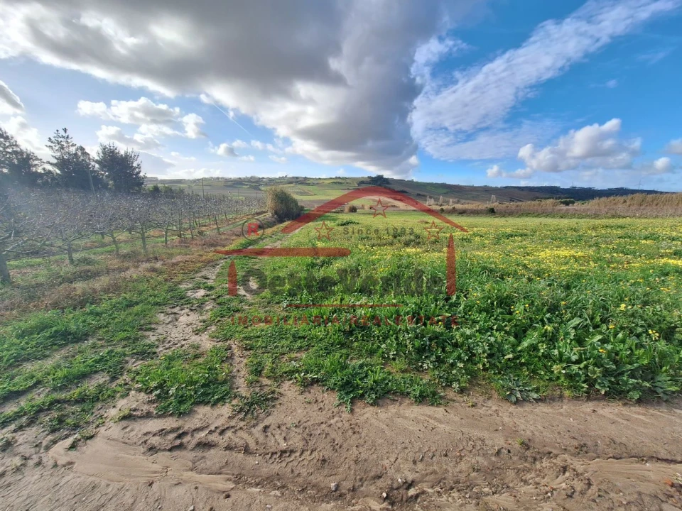 Terreno para Venda em Roliça Foto 12