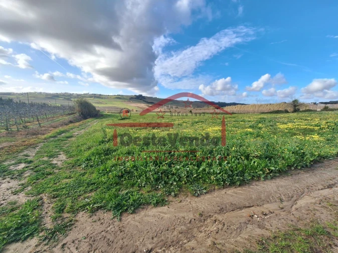 Terreno para Venda em Roliça Foto 10