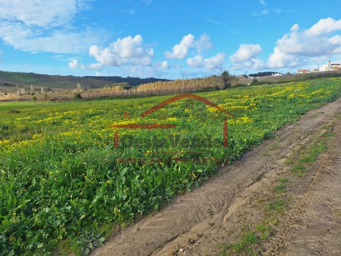 Terreno para Venda em Roliça Foto 9