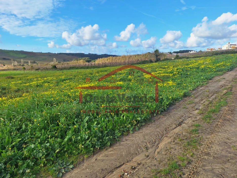 Terreno para Venda em Roliça Foto 9