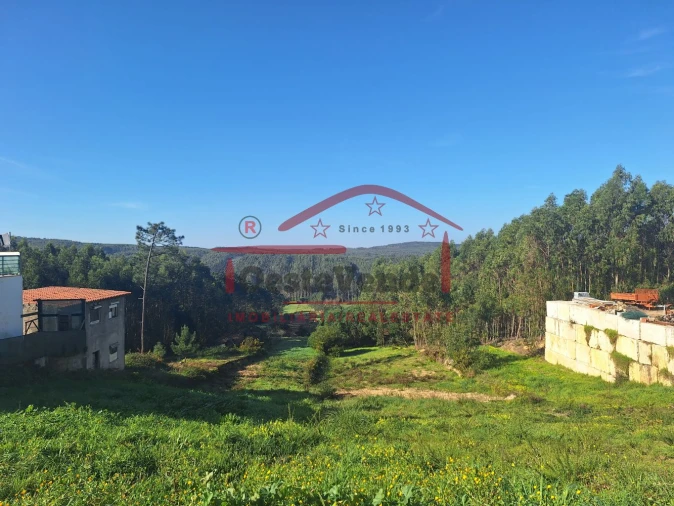 Terreno para Venda em Santa Maria, São Pedro e Sobral da Lagoa Foto 7