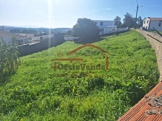 Terreno para Venda em Santa Maria, São Pedro e Sobral da Lagoa Foto 14