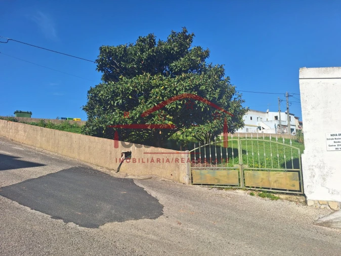 Terreno para Venda em Santa Maria, São Pedro e Sobral da Lagoa Foto 21
