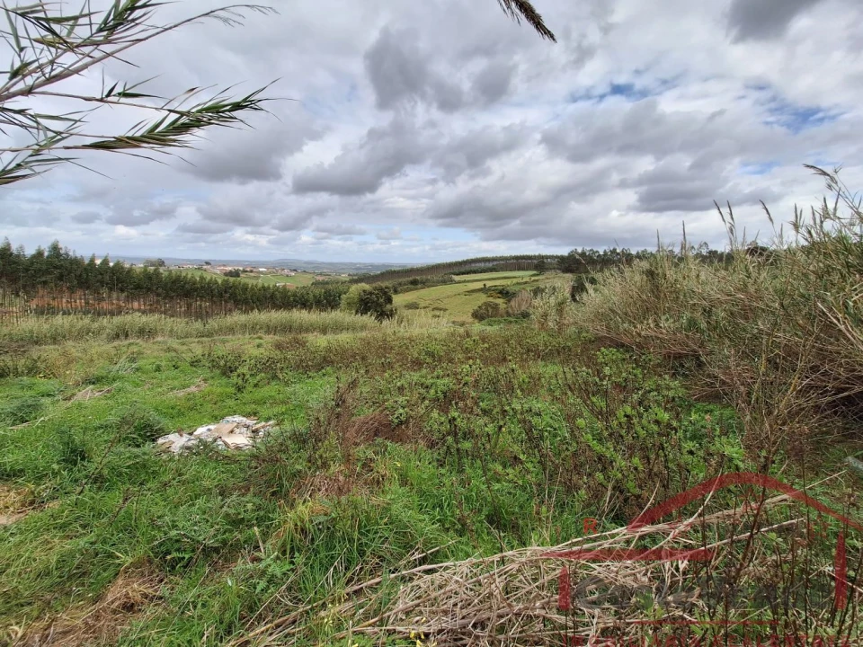 Terreno para Venda em Bombarral e Vale Covo Foto 23