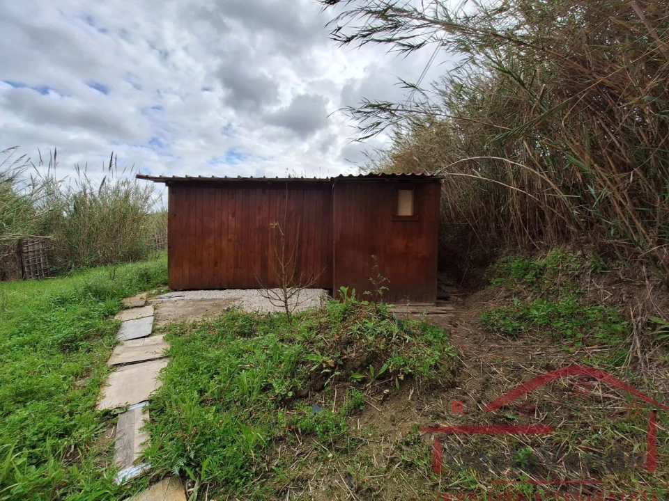 Terreno para Venda em Bombarral e Vale Covo Foto 8