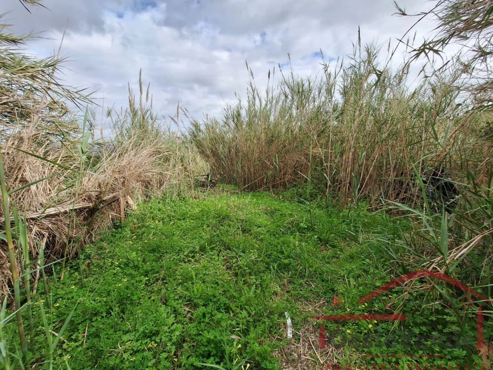 Terreno para Venda em Bombarral e Vale Covo Foto 28