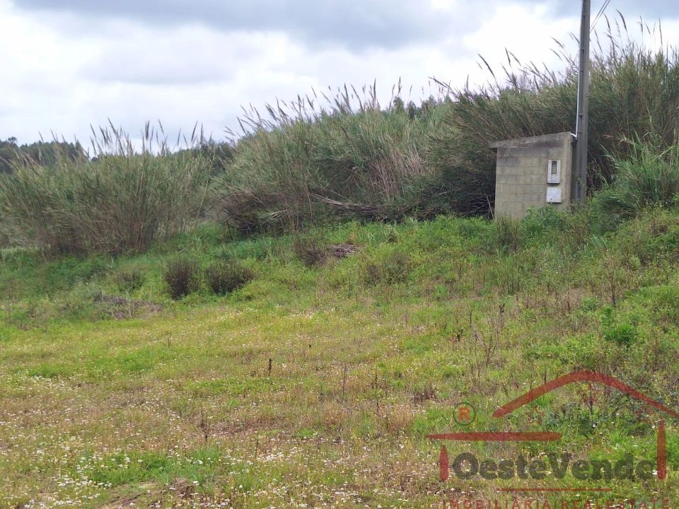 Terreno para Venda em Bombarral e Vale Covo Foto 32