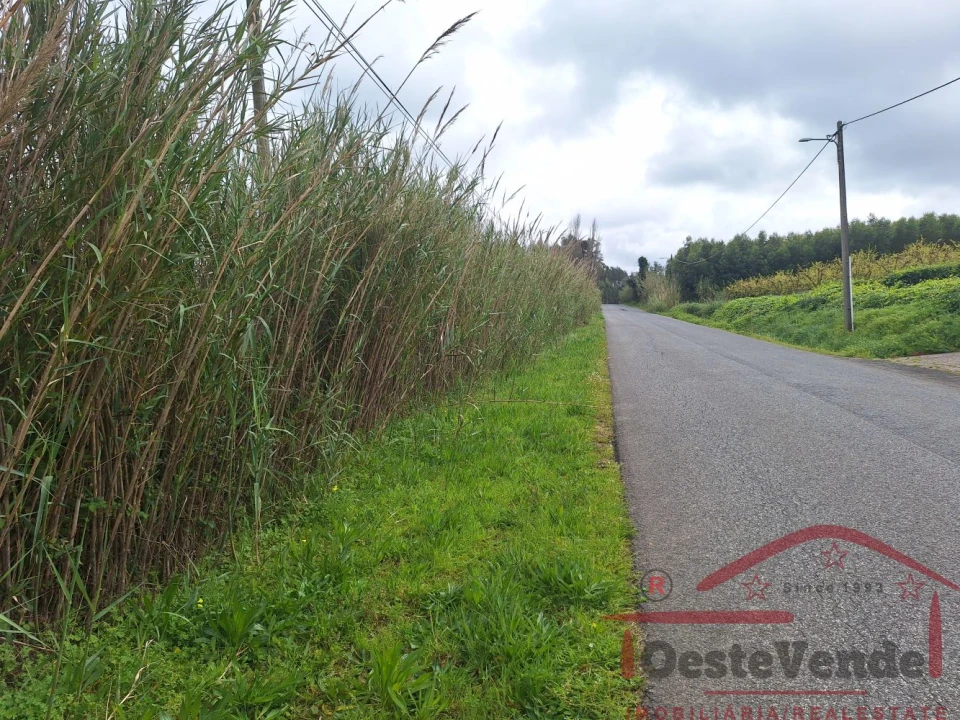 Terreno para Venda em Bombarral e Vale Covo Foto 30