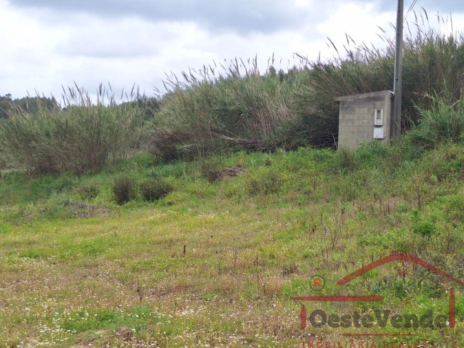 Terreno para Venda em Bombarral e Vale Covo Foto 32
