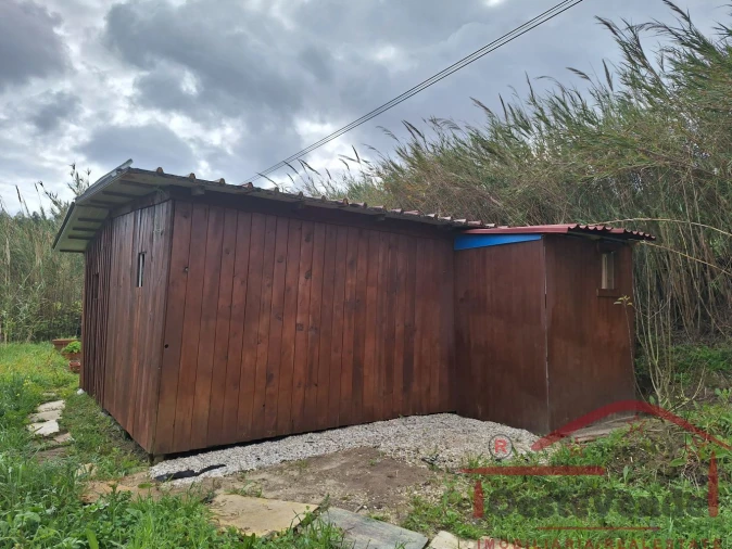 Terreno para Venda em Bombarral e Vale Covo Foto 7