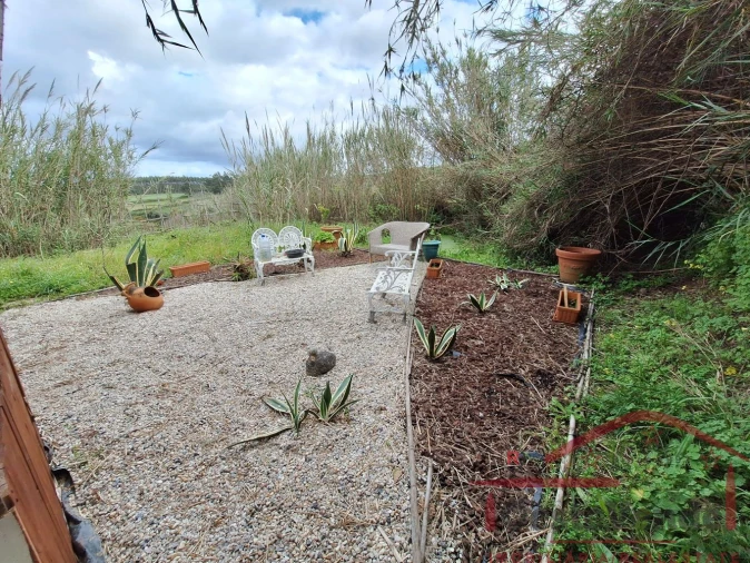 Terreno para Venda em Bombarral e Vale Covo Foto 5