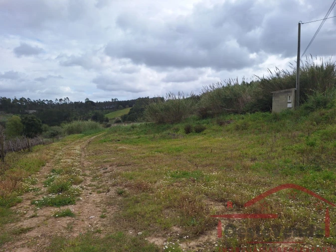 Terreno para Venda em Bombarral e Vale Covo Foto 33