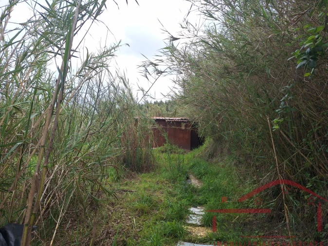Terreno para Venda em Bombarral e Vale Covo Foto 27