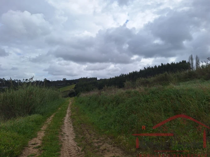Terreno para Venda em Bombarral e Vale Covo Foto 36