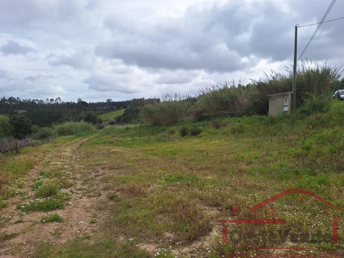 Terreno para Venda em Bombarral e Vale Covo Foto 34