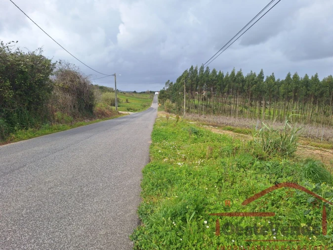 Terreno para Venda em Bombarral e Vale Covo Foto 29