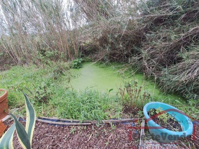 Terreno para Venda em Bombarral e Vale Covo Foto 6