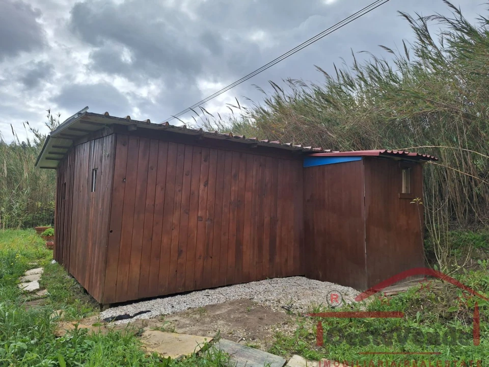 Terreno para Venda em Bombarral e Vale Covo Foto 7