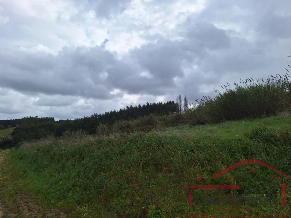 Terreno para Venda em Bombarral e Vale Covo Foto 35